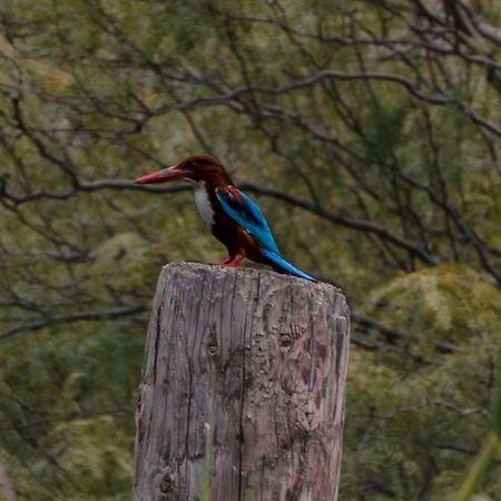 Готель Sharhabil Bin Hasnah Ecopark Qulay'at Екстер'єр фото