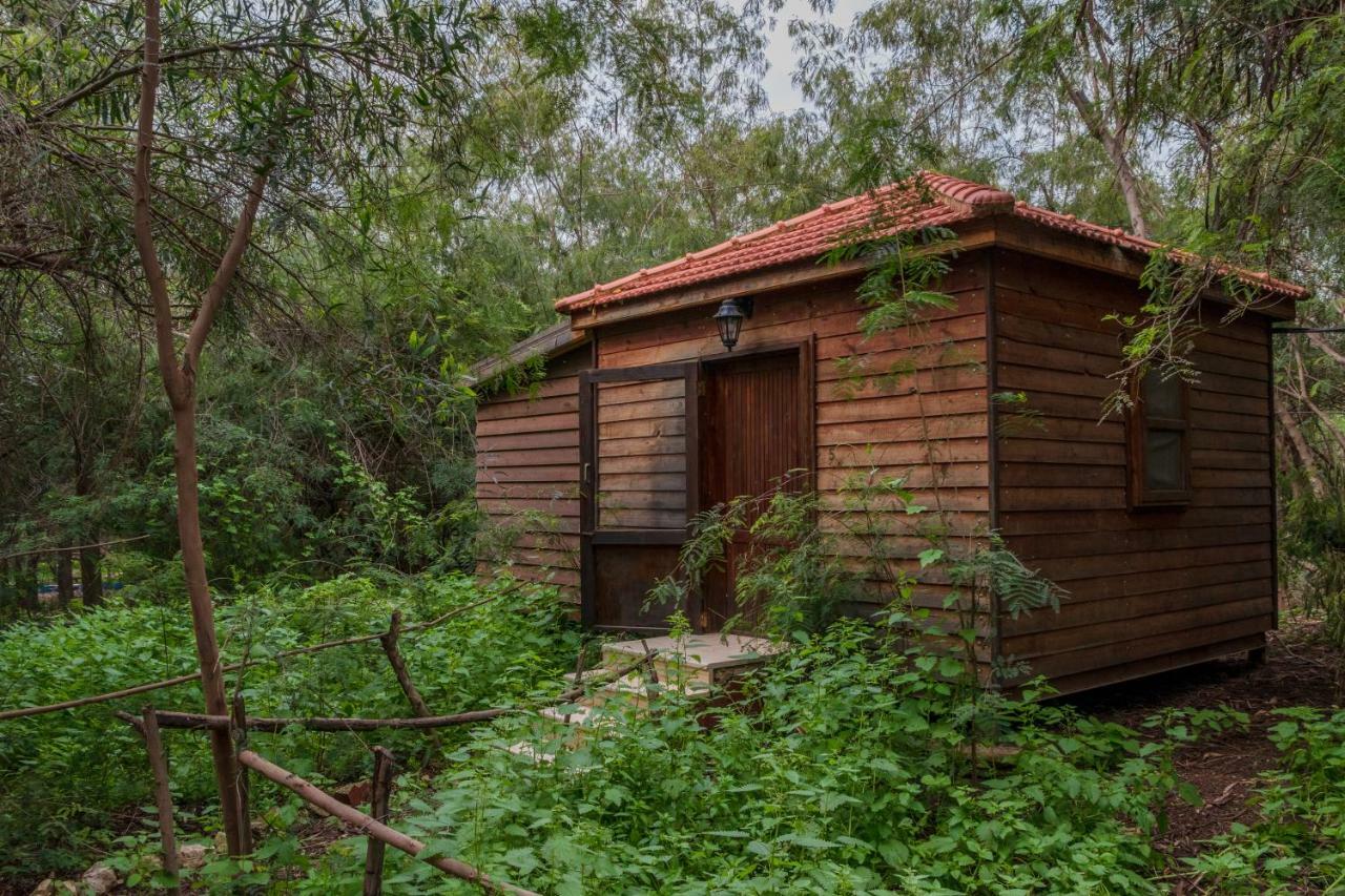 Готель Sharhabil Bin Hasnah Ecopark Qulay'at Екстер'єр фото